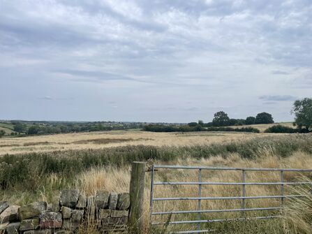 Wilder grasslands viewed over a drystone wall and gate