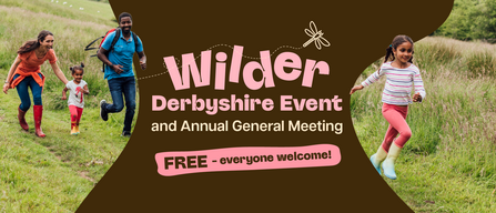 AGM