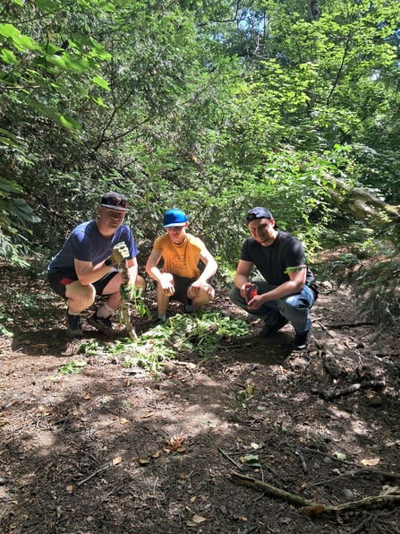 Children bashing himalayan balsam
