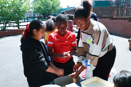 Seed bomb making at Dale Primary School, Derby 
