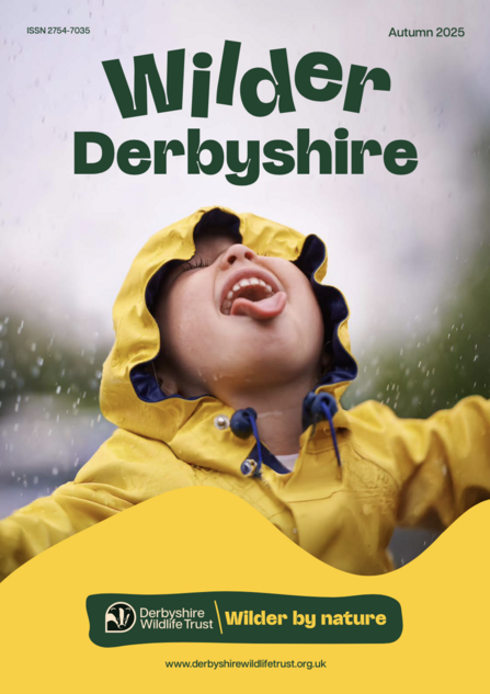 Wilder Derbyshire Autumn 2025 front cover