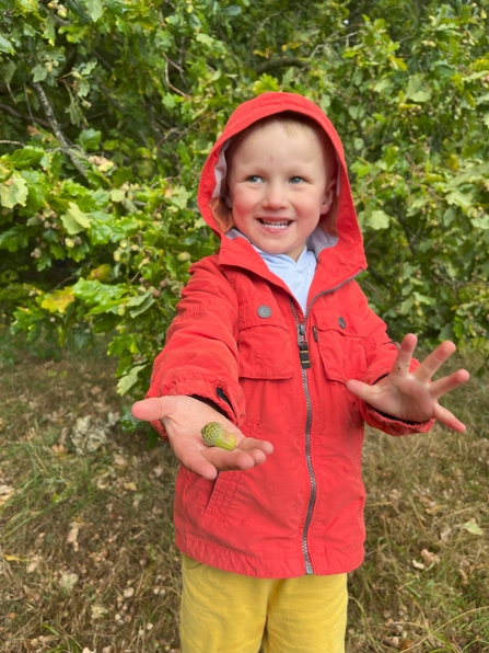 Child holding an acorn