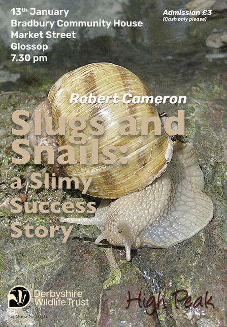 Slugs & Snails
