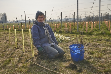 Tree Planting