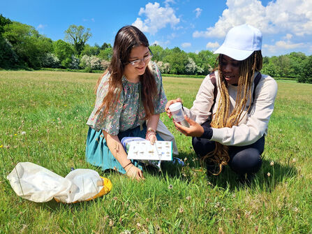 students monitoring grassland