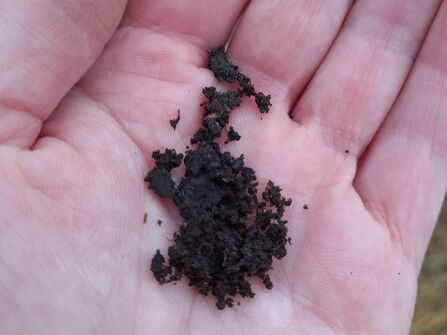 A handful of dark, crumbly soil held in an open human palm, with visible skin texture.
