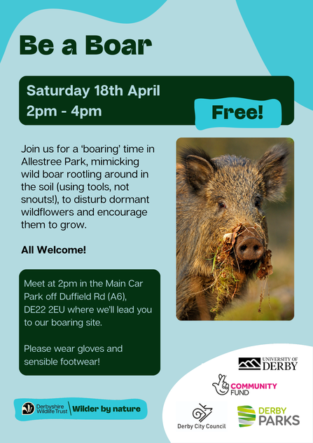 Event flyer for a free "Be a Boar" event in Allestree Park on April 18th from 2-4 pm, featuring a close-up image of a wild boar's face and text describing the activity of mimicking wild boar rootling with tools to encourage wildflower growth.