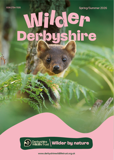 Members Magazine Cover