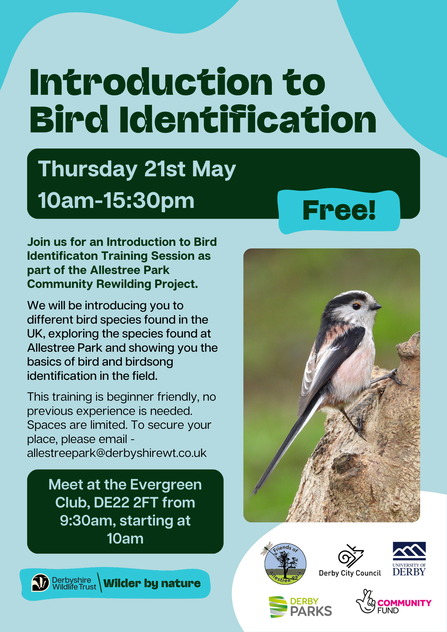 Poster for a free Introduction to Bird Identification training session on Thursday 21st May, 10am-3:30pm, as part of the Allestree Park Community Rewilding Project. The poster features a close-up photograph of a long-tailed tit perched on a branch.