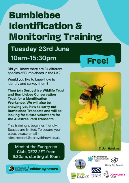 Poster advertising a free Bumblebee Identification & Monitoring Training on Tuesday 23rd June, 10am-3:30pm, hosted by Derbyshire Wildlife Trust and Bumblebee Conservation Trust. The poster features a close-up image of a bumblebee on a yellow flower and lists the meeting location, time, and an email address for securing a place.