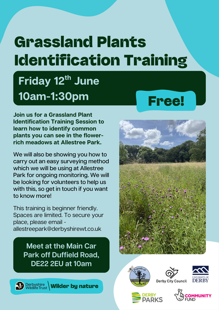 Poster advertising a free Grassland Plants Identification Training session on Friday, June 12th, from 10 am to 1:30 pm, at Allestree Park. The image shows a meadow with purple flowers and green grass under a blue sky with clouds.