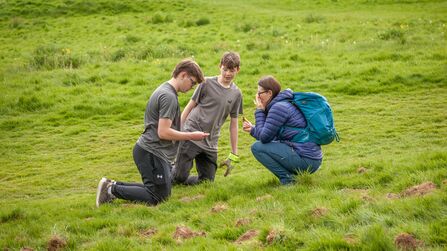 Two young people and an adult crouch in a grassy field, looking at something on the ground.