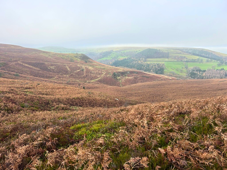 landscape at eyam
