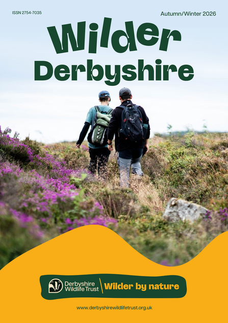 Magazine cover for "Wilder Derbyshire," Autumn/Winter 2026, featuring two hikers with backpacks walking away from the camera through a moorland landscape with purple heather and dry grass.