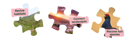 Three puzzle pieces illustrating environmental conservation themes: "Revive habitats" with a green hillside, "Connect landscapes" with a sunset over heather moorland, and "Recover lost species" featuring a black grouse.
