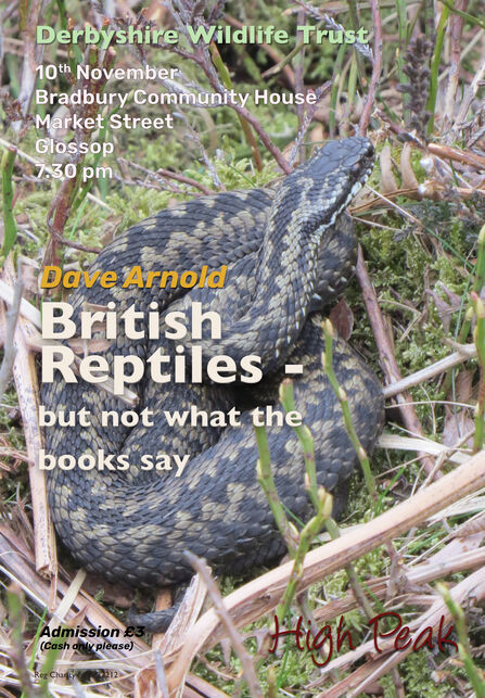 Poster for Derbyshire Wildlife Trust event on November 10th featuring a close-up of a coiled adder with text about a talk by Dave Arnold on British Reptiles.