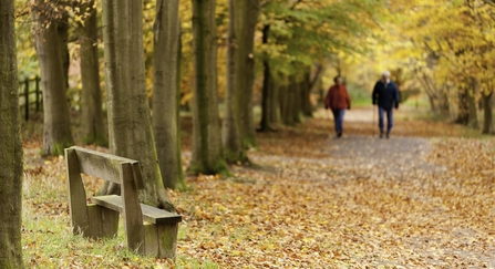 Autumn walking