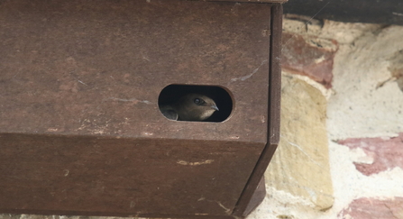 Swift box