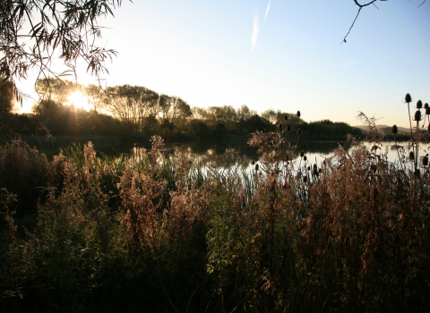 Carr Vale Nature Reserve, Guy Badham