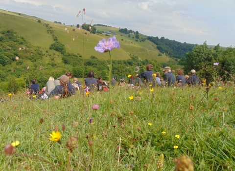 Preistcliffe Lees in Derbyshire's Wye Valley, Kaite Helps