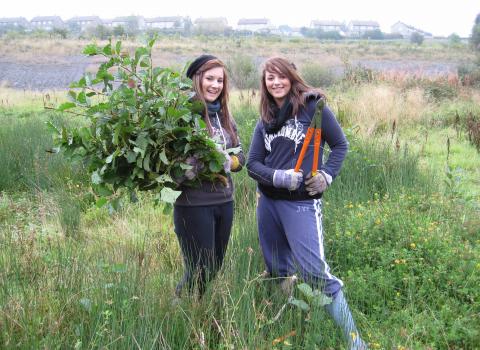 Wildlife Guardians, DerwentWISE project