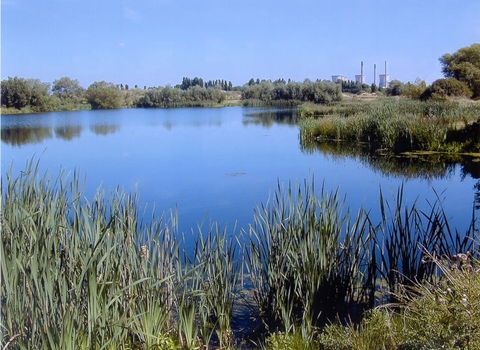 Willington Gravel Pits, Derbyshire Wildlife Trust 