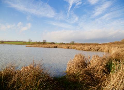 Carr Vale nature reserve, Guy Badham 