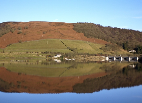 Ladybower Woods, Guy Badham