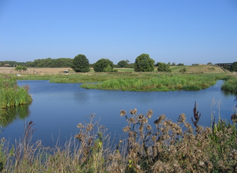 The Avenue Washlands, Steve Price