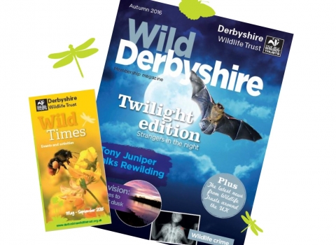 Magazine, Wild Derbyshire