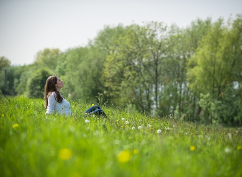 Relaxing in nature, Matthew Roberts 