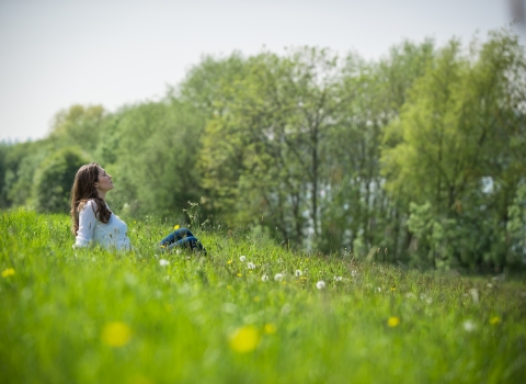 Relaxing in a meadow, Matthew Roberts 