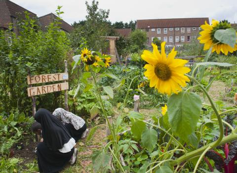 Wildlife gardening, Paul Harris 2020 VISION