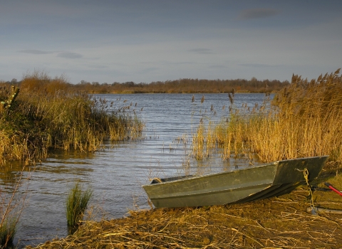 Willington Gravel Pits, Derbyshire Wildlife Trust 