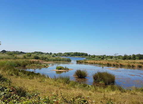 Willington Nature Reserve by George Bird