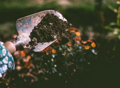 social isolation gardening