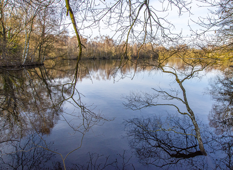 Hilton Gravel Pits Local Nature Reserve, Derbyshire Wildlife Trust © Steven Cheshire, Transforming the Trent Valley 2021 - 2021