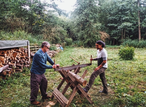 sawing