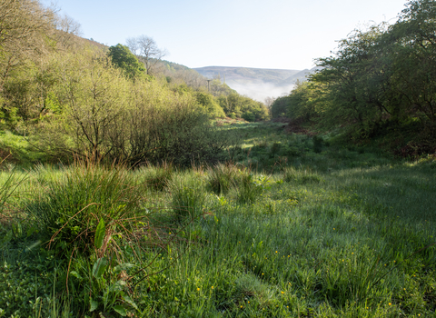 Wild Peak, Peak District, Thornhill