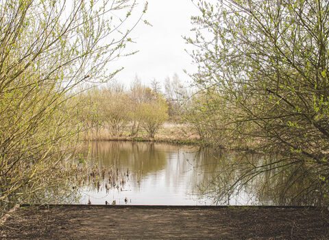 Derwent Meadows pond