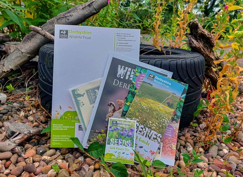 Derbyshire wildlife trust membership pack