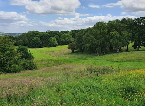 allestree park 