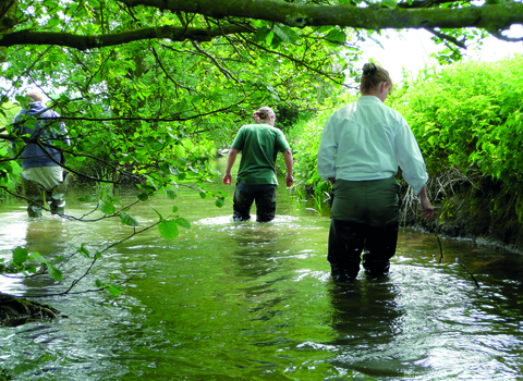 three people wading through a river doing a water vole survey
