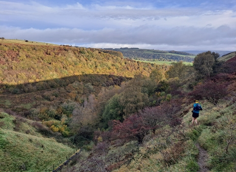 a man running down the side of a valley surrounded by autumnal trees