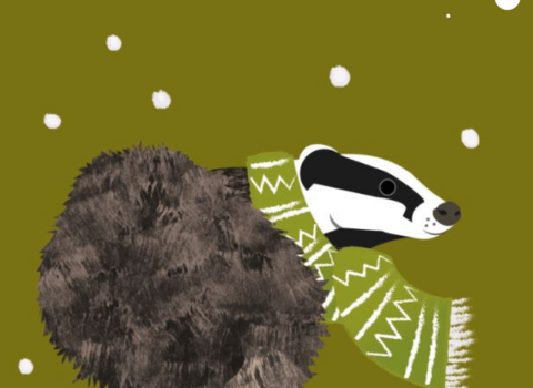 an illustrated badger wearing a scarf in the snow with a green background