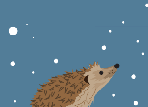 an illustrated hedgehog looking up into snow with a blue background