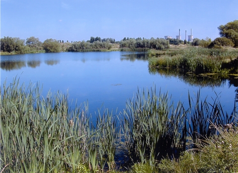 Wetlands