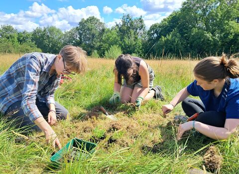 Children sat in the grass planting at Allestree Park in the sunshine