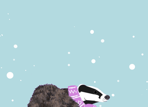 An illustration of a badger in winter, wearing a purple scarf, standing in snow with falling snowflakes against a light blue background.
