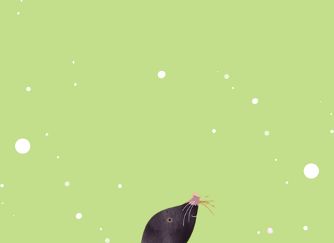 Illustration of a mole emerging from a Christmas pudding, green background with falling white dots. The mole has a dark grey head, pink paws and is covered in white icing, decorated with holly and red berries.